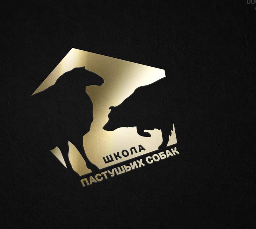 бордер колли Флэш обидиенс