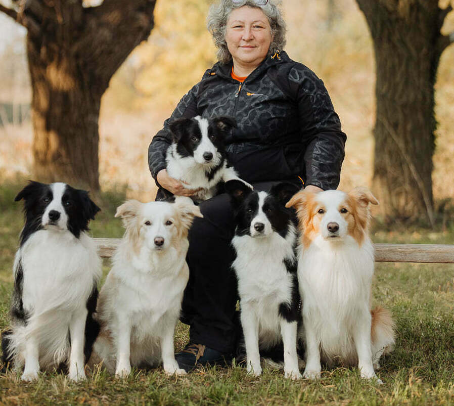 мы на выставке послушные собаки